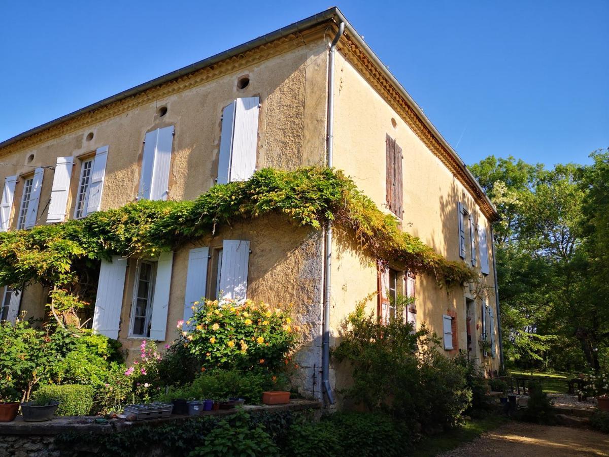 Mule Bed & Breakfast Lagardere Екстериор снимка