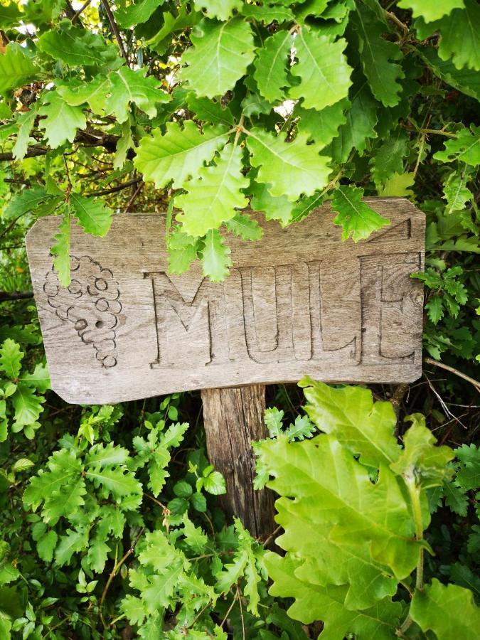 Mule Bed & Breakfast Lagardere Екстериор снимка