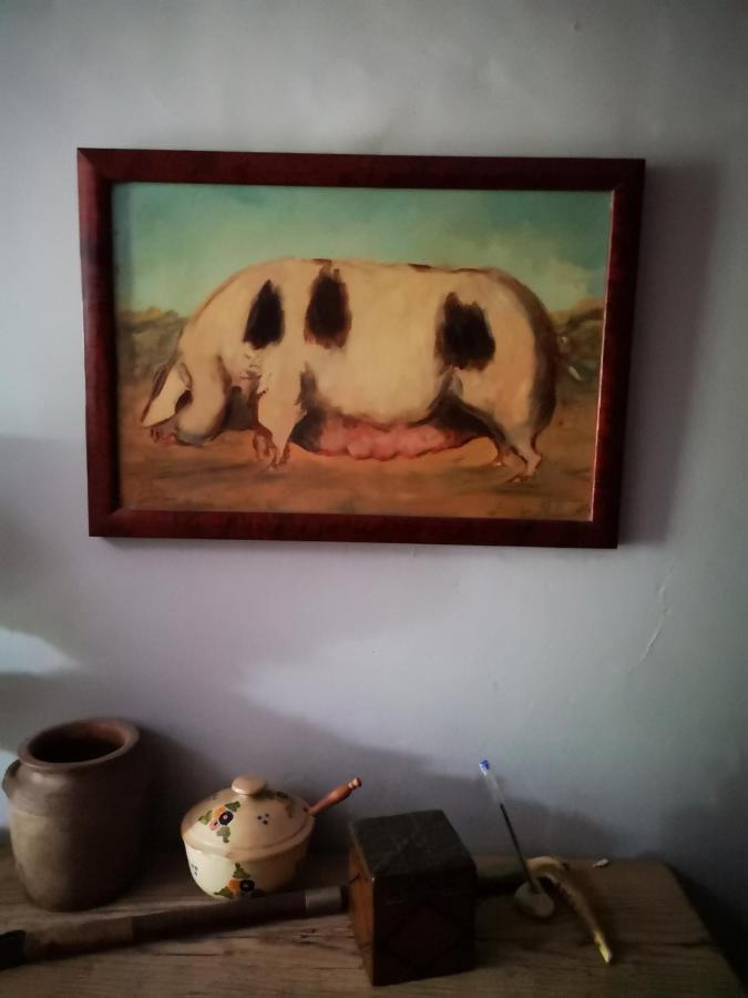 Mule Bed & Breakfast Lagardere Екстериор снимка